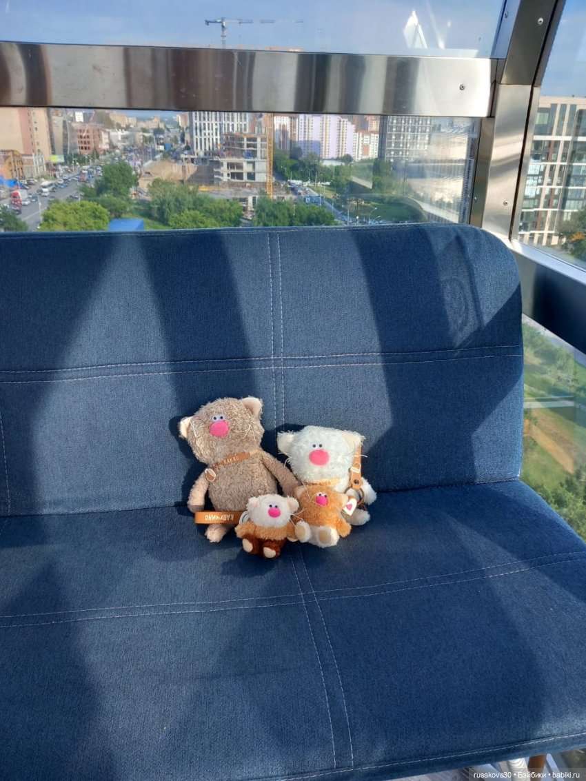 Кофейные котики на день города