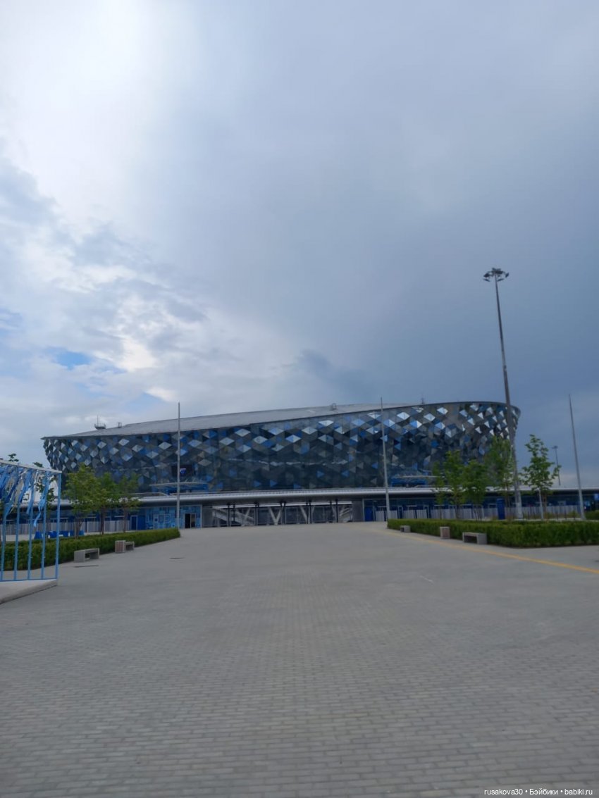 Кофейные котики на день города (фото 2)