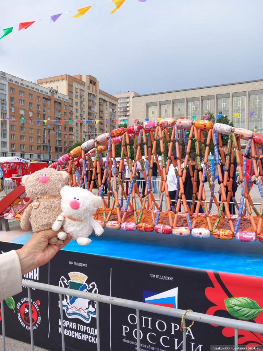 Кофейные котики на день города