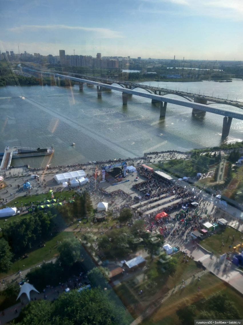 Кофейные котики на день города