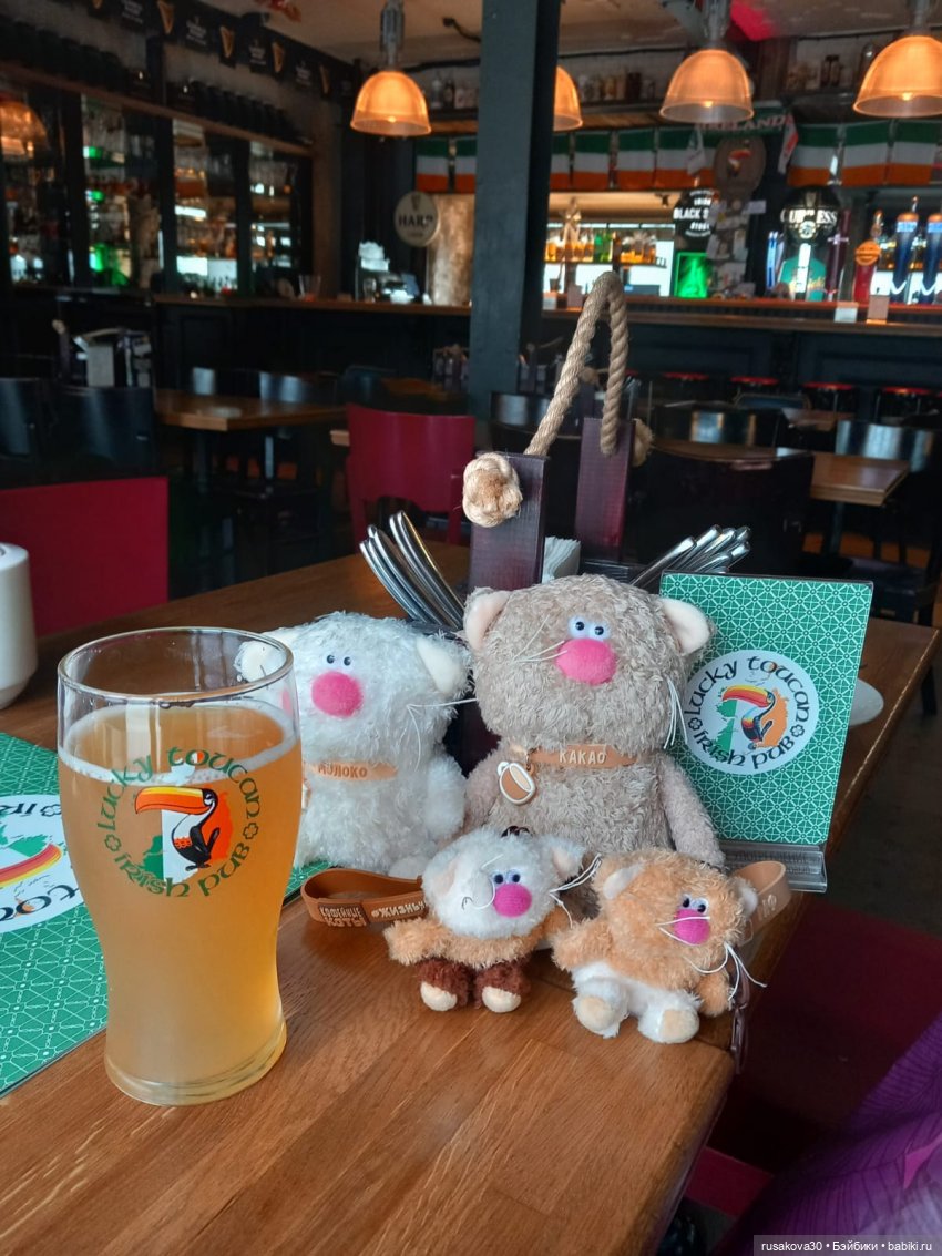 Кофейные котики на день города