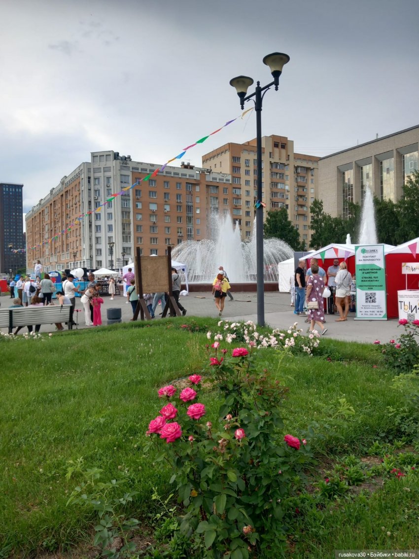 Кофейные котики на день города (фото 7)