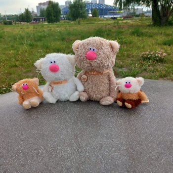 Кофейные котики на день города .