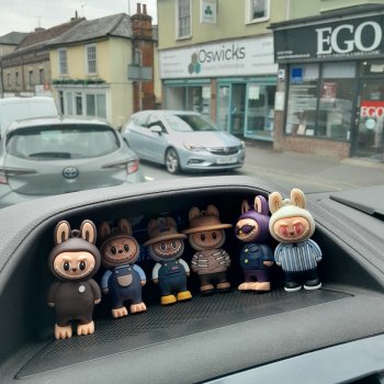 Путешествие в графство Эссекс .