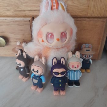 Новенький лабубушка.