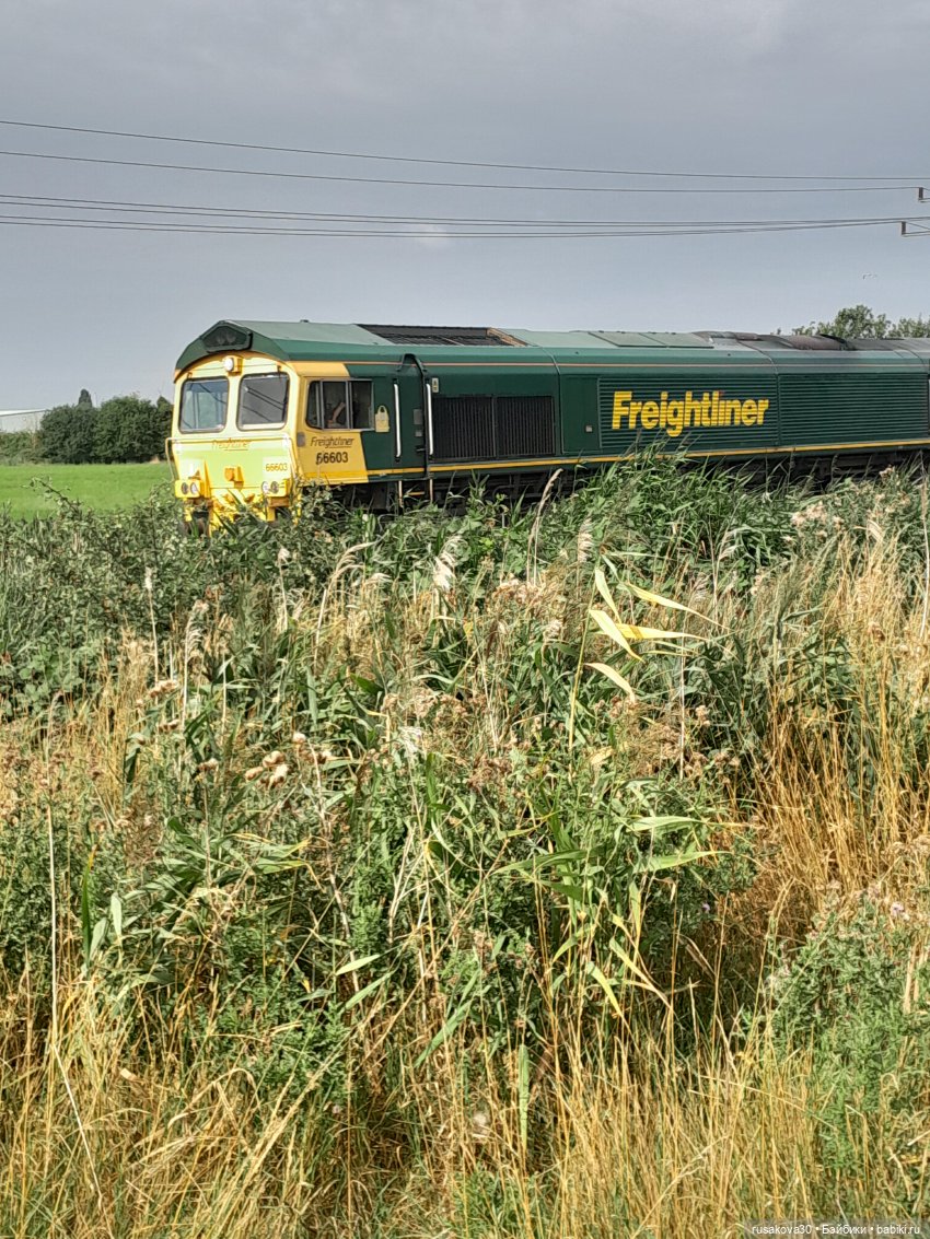 Полная корзина Басиков — Кот Басик