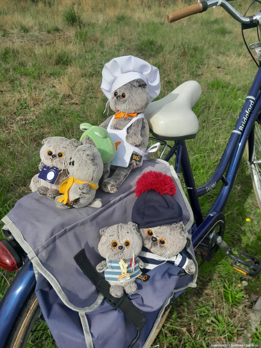 Полная корзина Басиков — Кот Басик