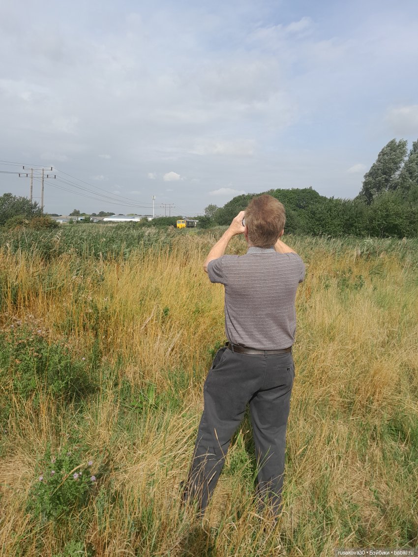 Полная корзина Басиков — Кот Басик