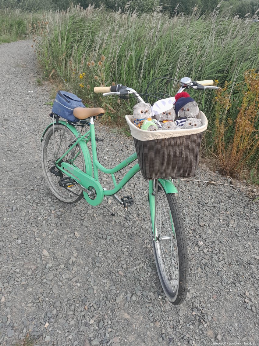 Полная корзина Басиков — Кот Басик