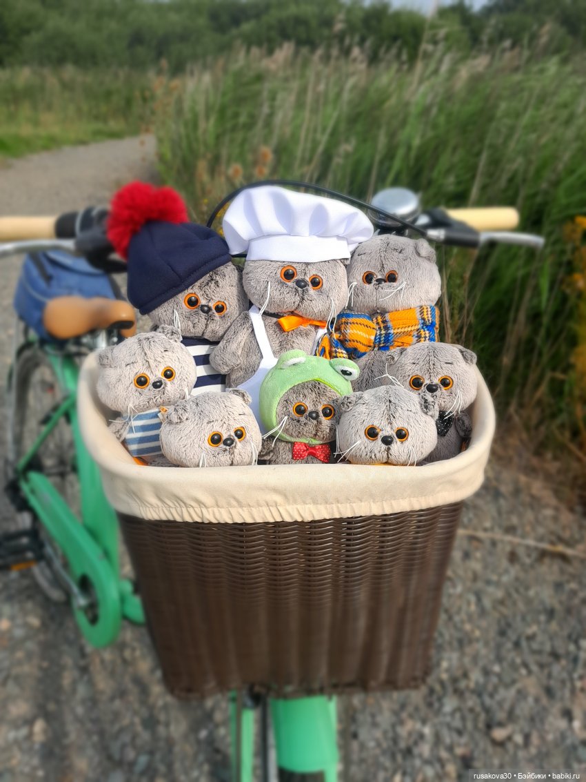 Полная корзина Басиков — Кот Басик (фото 10)