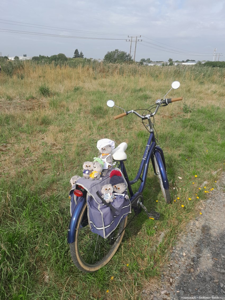 Полная корзина Басиков — Кот Басик