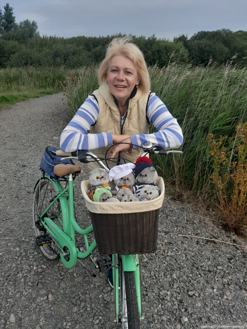 Полная корзина Басиков — Кот Басик