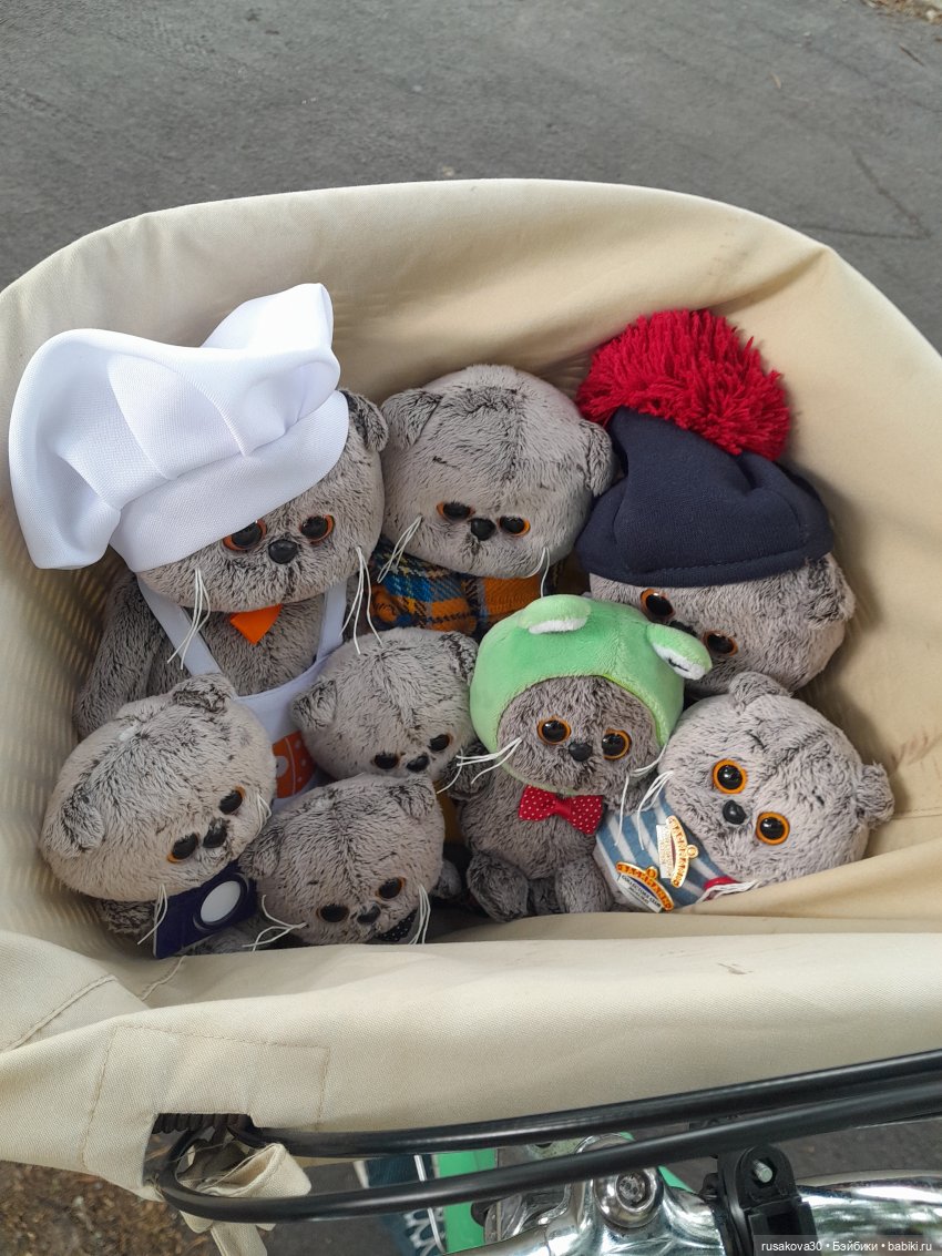 Полная корзина Басиков — Кот Басик (фото 2)