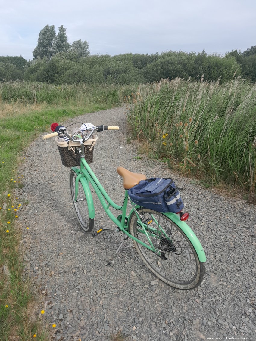 Полная корзина Басиков — Кот Басик (фото 9)