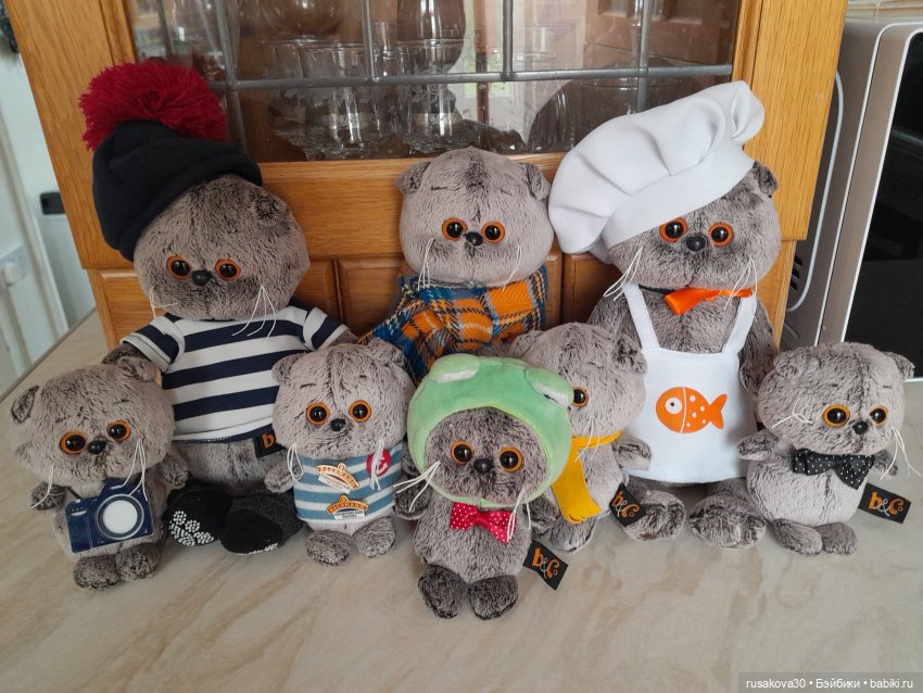 Полная корзина Басиков — Кот Басик