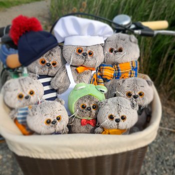 Полная корзина Басиков.