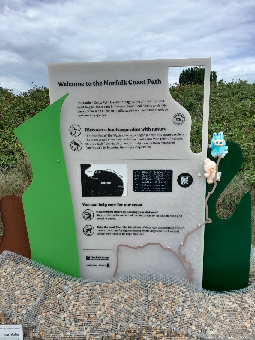 Новые Лабубу — Игрушки Labubu (Лабубу) и The Monsters: Pop Mart (фото 8)