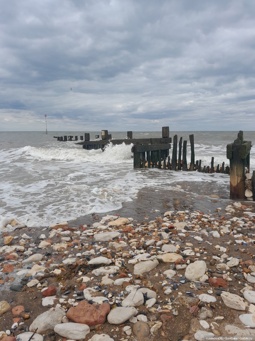 Новые Лабубу — Игрушки Labubu (Лабубу) и The Monsters: Pop Mart