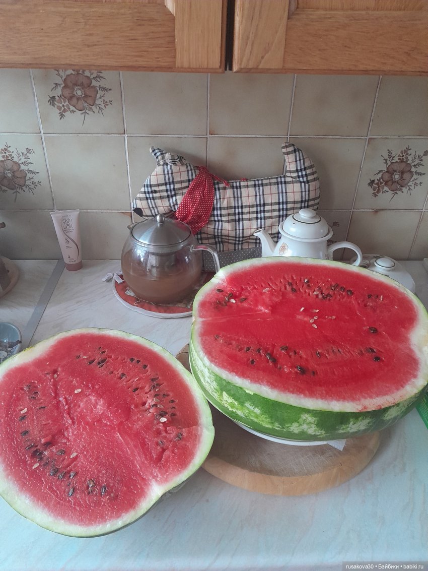 Еще один лафуфу — Игрушки Labubu (Лабубу) и The Monsters: Pop Mart