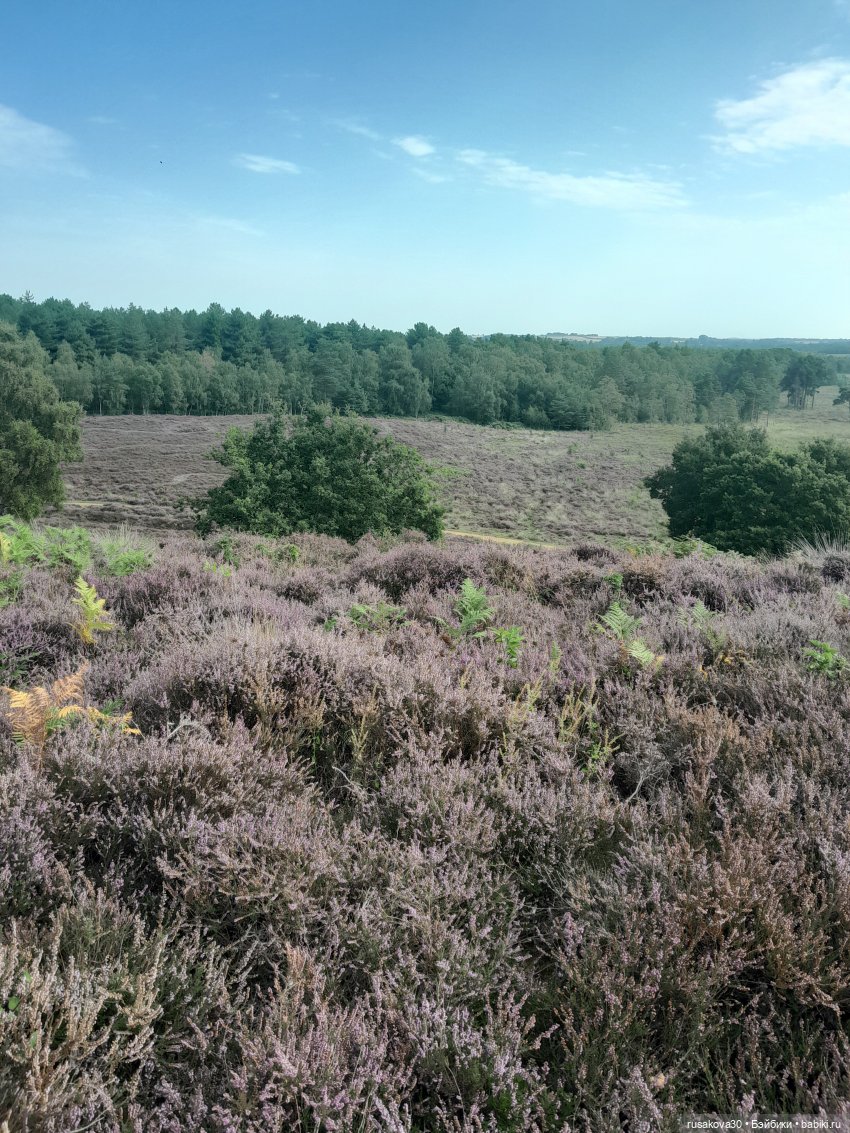 Прогулки с куклами — Экшн (фото 6)