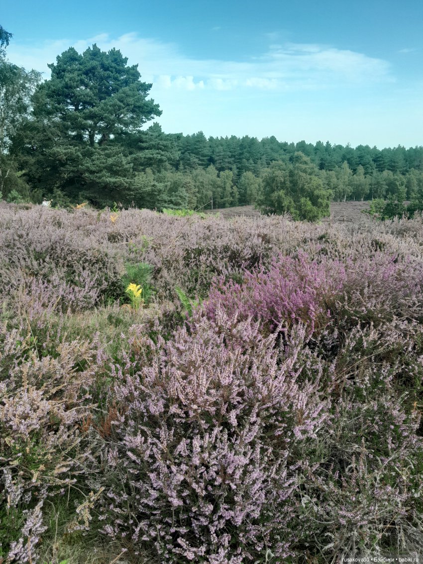 Прогулки с куклами — Экшн (фото 7)