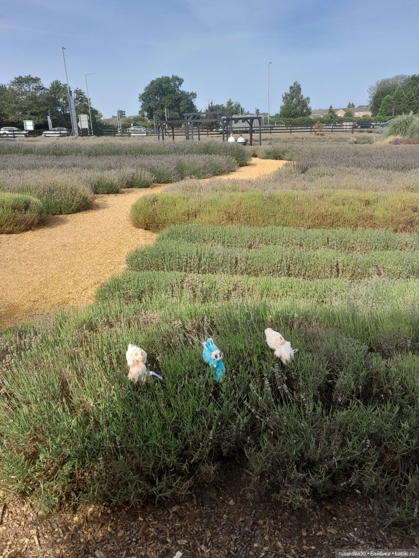 Прогулки с куклами — Экшн