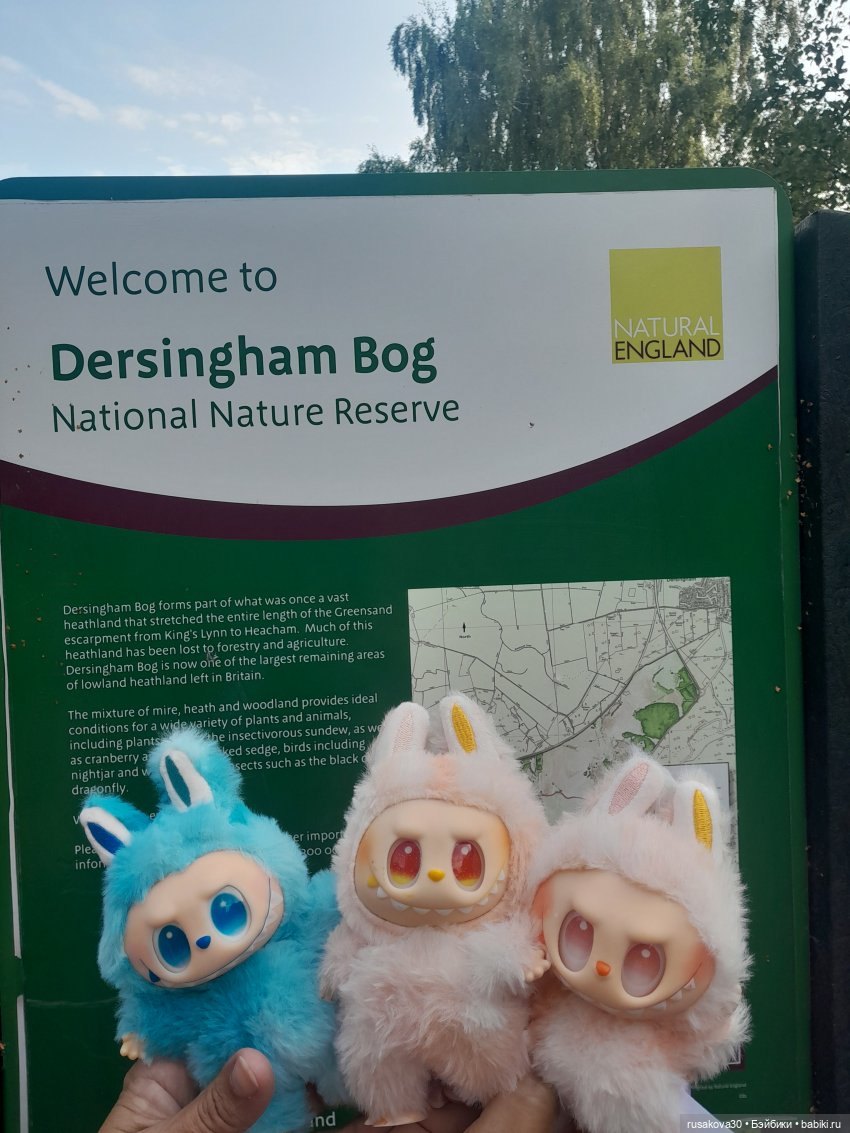 Прогулки с куклами — Экшн