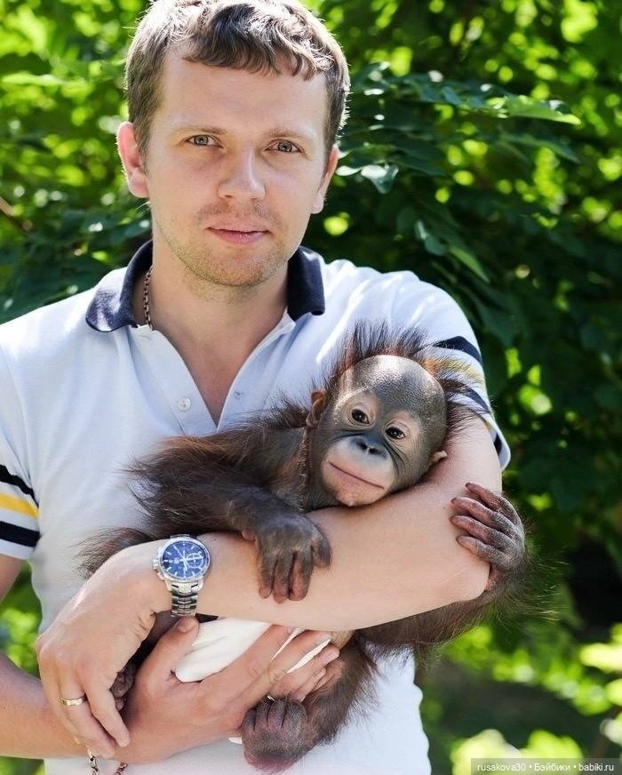 Новосибирскому зоопарку исполнилось 78 лет (фото 5)