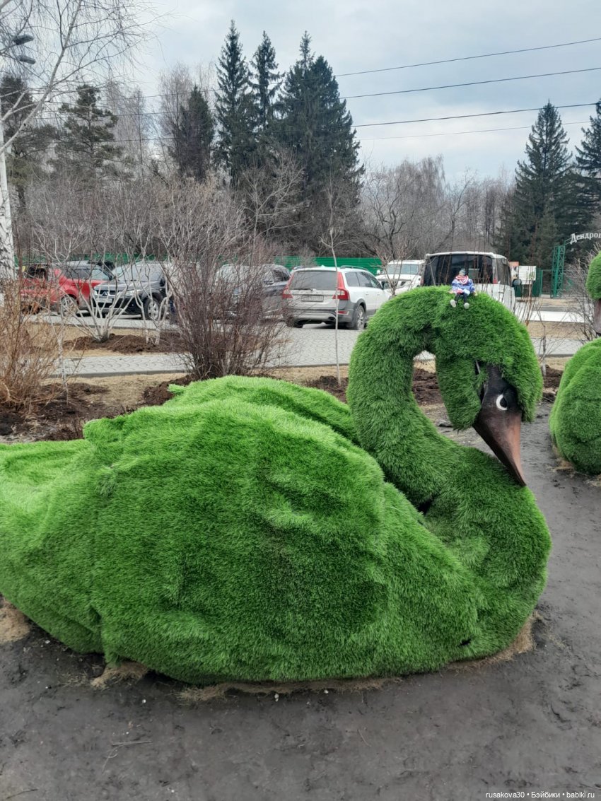 Новосибирскому зоопарку исполнилось 78 лет (фото 6)