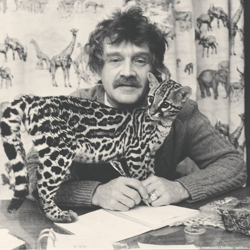 Новосибирскому зоопарку исполнилось 78 лет (фото 3)