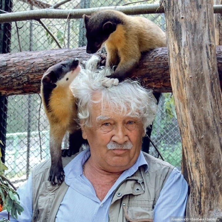 Новосибирскому зоопарку исполнилось 78 лет (фото 4)