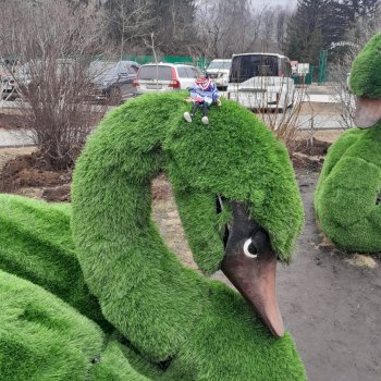 Новосибирскому зоопарку исполнилось 78 лет .