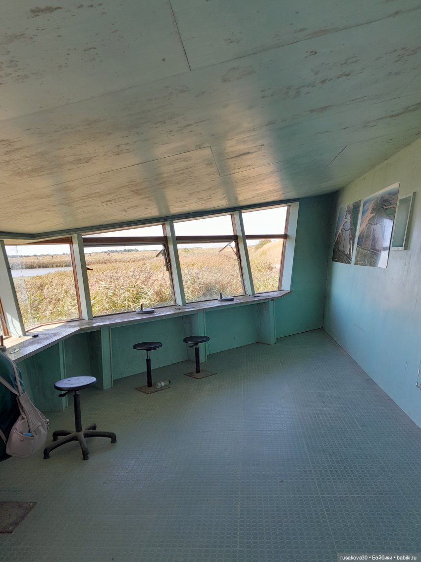 Людвиг ,Нильс и Ждунчик в птичьем заповеднике