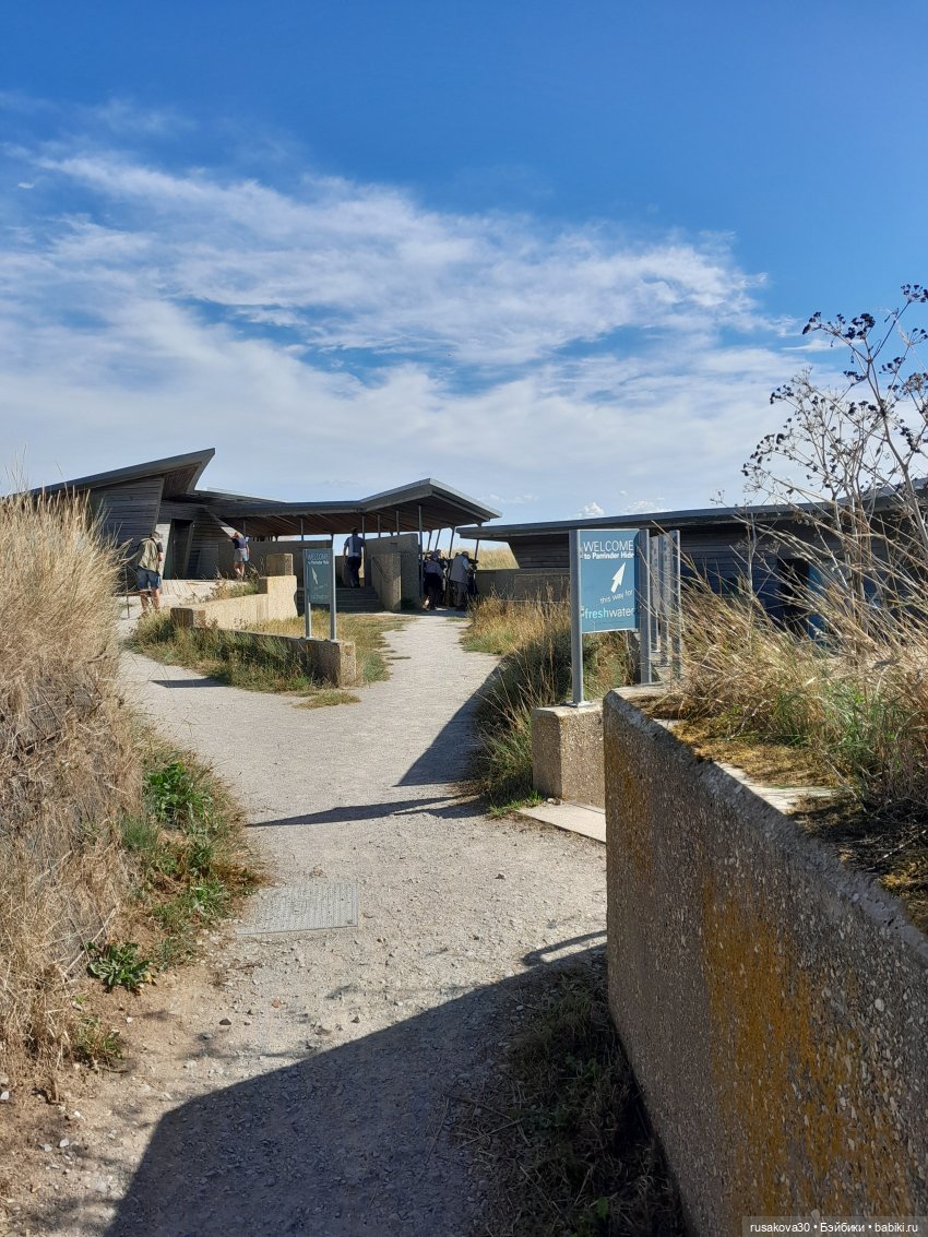 Людвиг ,Нильс и Ждунчик в птичьем заповеднике