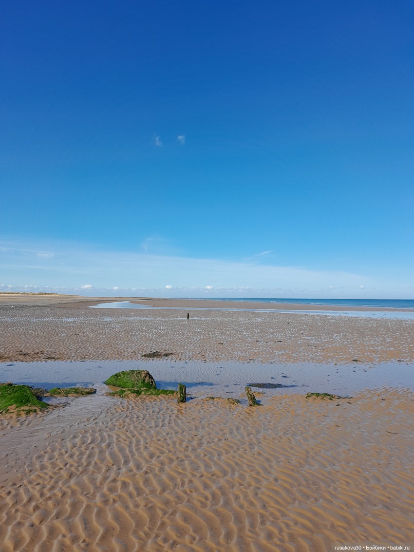 Людвиг ,Нильс и Ждунчик в птичьем заповеднике