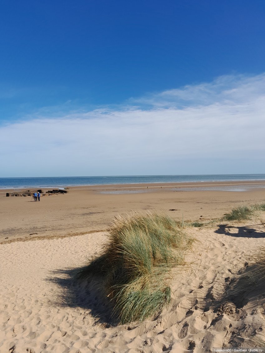 Людвиг ,Нильс и Ждунчик в птичьем заповеднике