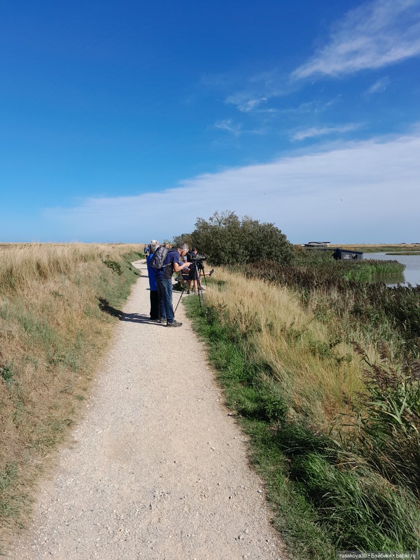 Людвиг ,Нильс и Ждунчик в птичьем заповеднике (фото 6)