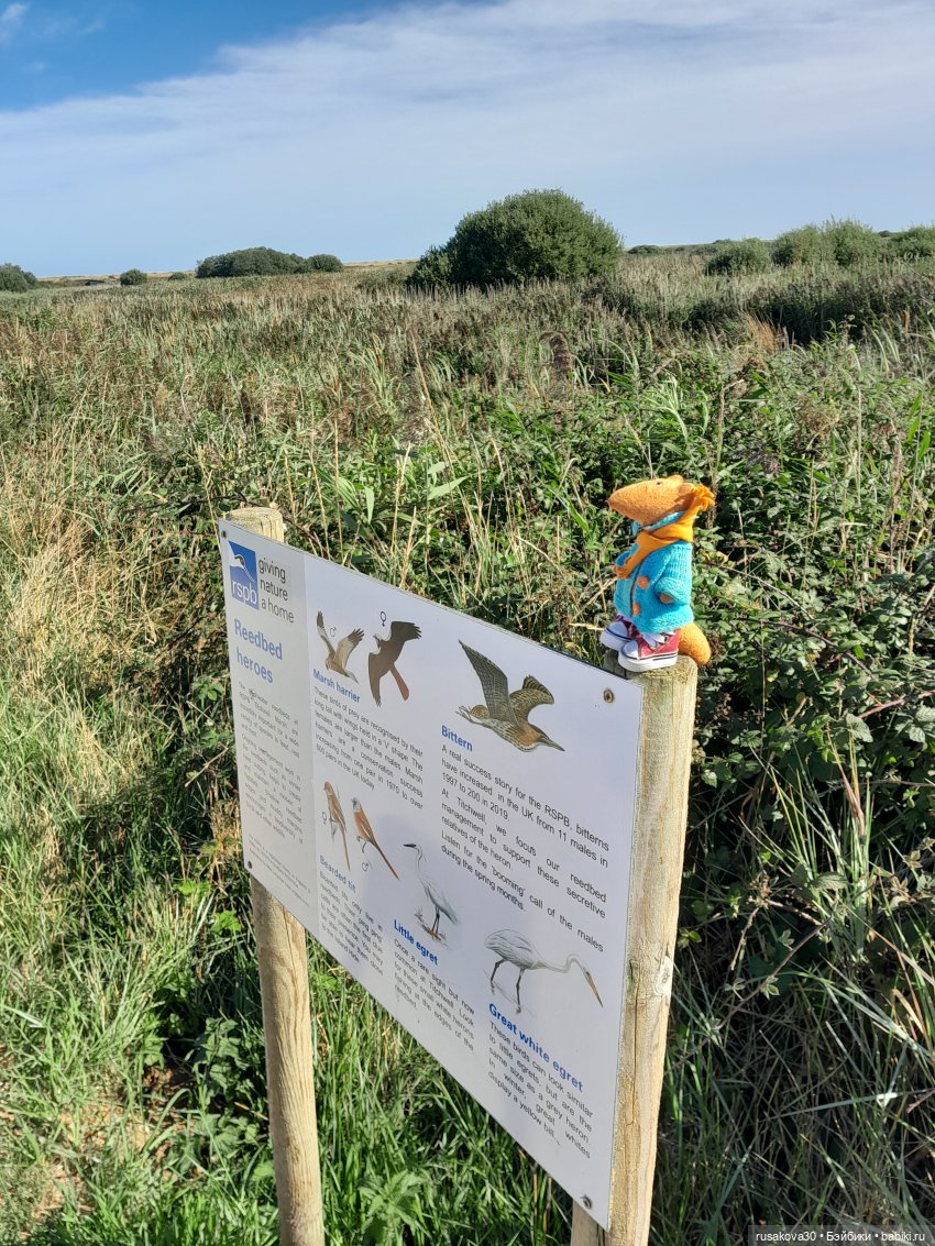 Людвиг ,Нильс и Ждунчик в птичьем заповеднике (фото 3)