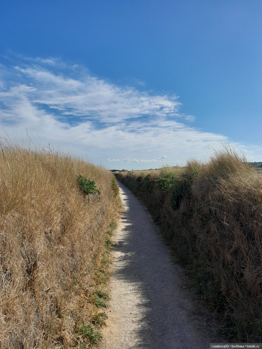 Людвиг ,Нильс и Ждунчик в птичьем заповеднике
