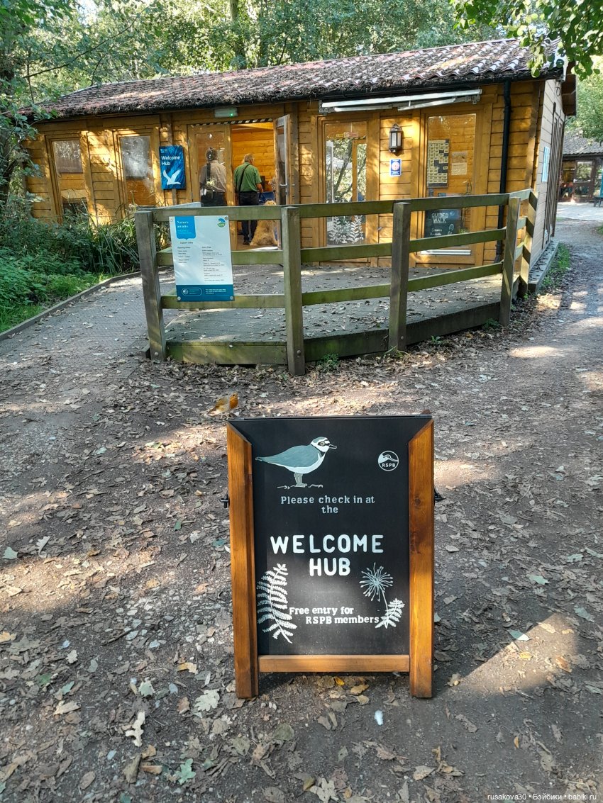 Людвиг ,Нильс и Ждунчик в птичьем заповеднике (фото 2)