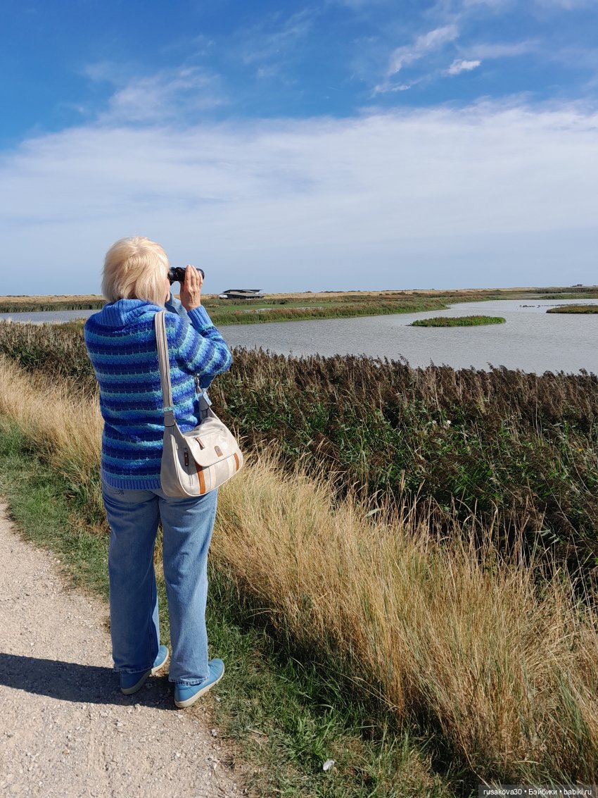 Людвиг ,Нильс и Ждунчик в птичьем заповеднике (фото 7)