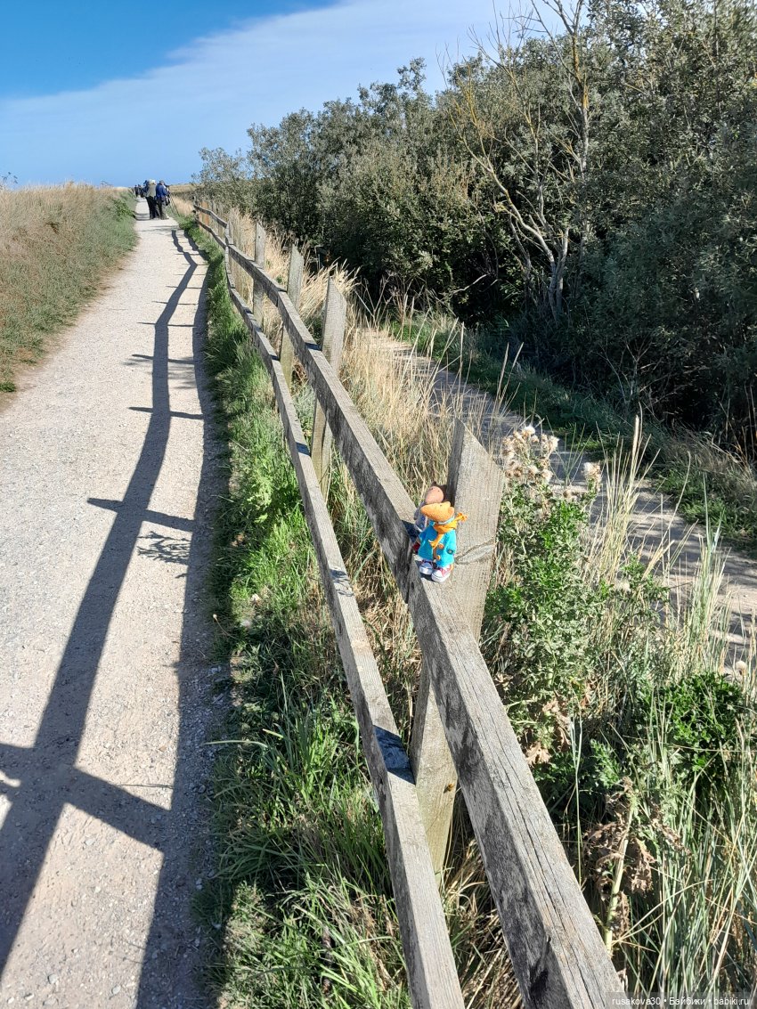 Людвиг ,Нильс и Ждунчик в птичьем заповеднике (фото 4)