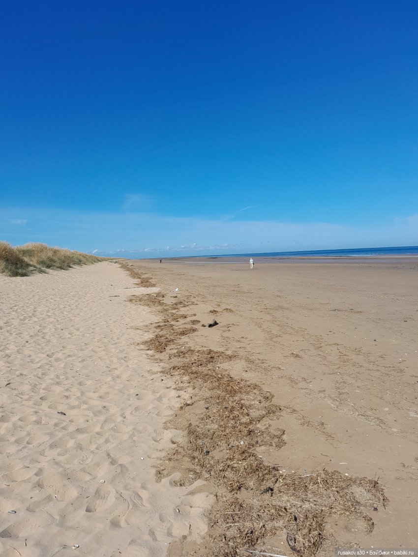 Людвиг ,Нильс и Ждунчик в птичьем заповеднике (фото 10)