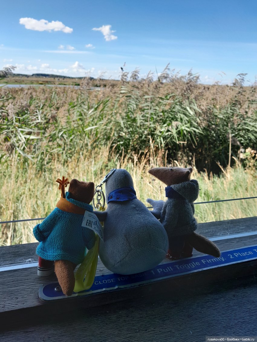 Людвиг ,Нильс и Ждунчик в птичьем заповеднике