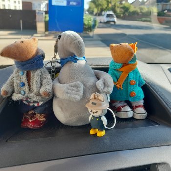 Людвиг ,Нильс и Ждунчик в птичьем заповеднике.