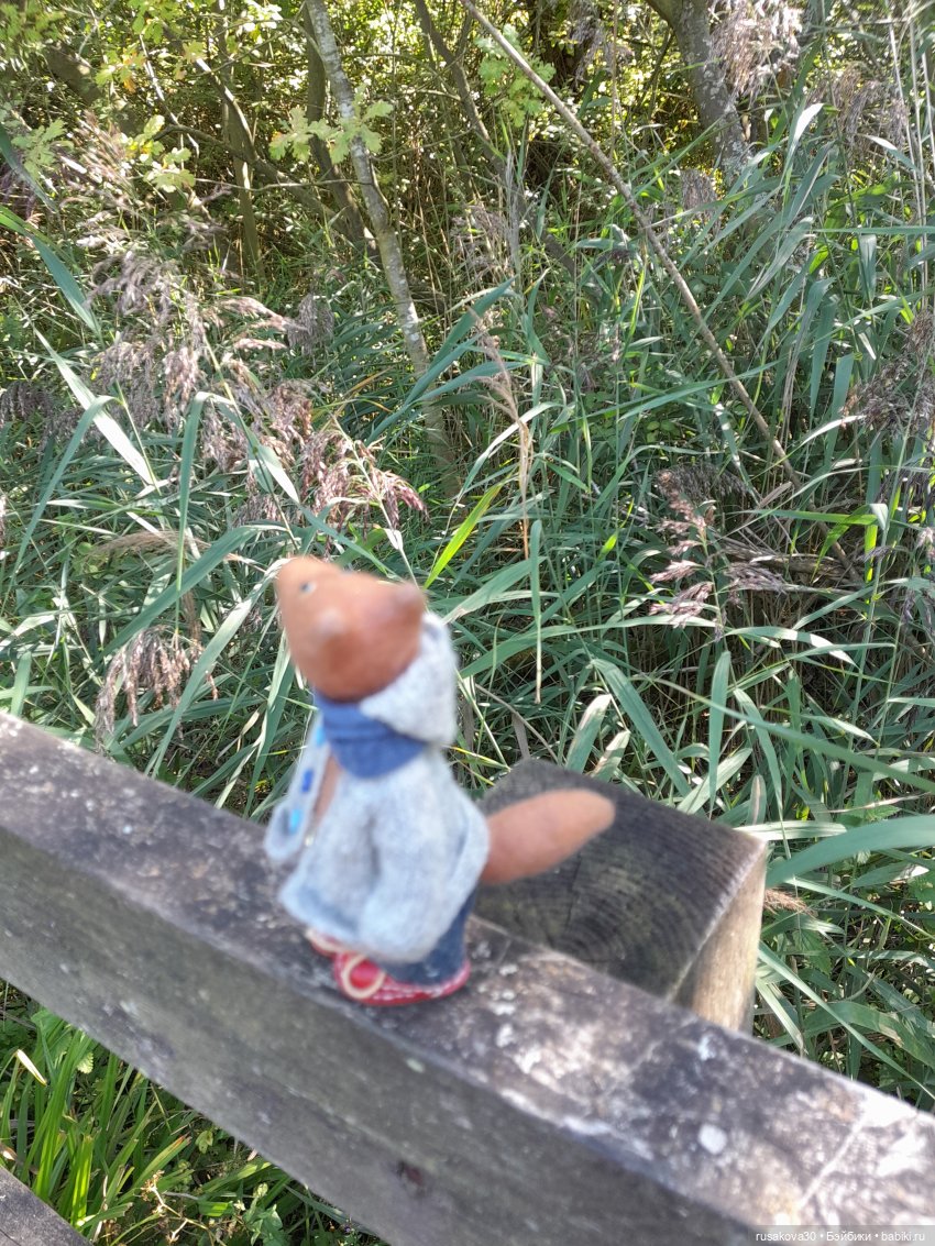 Продолжаем гулять по заповеднику (фото 9)