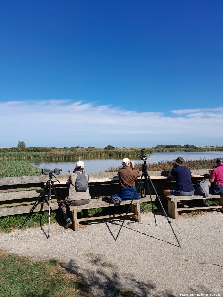 Продолжаем гулять по заповеднику