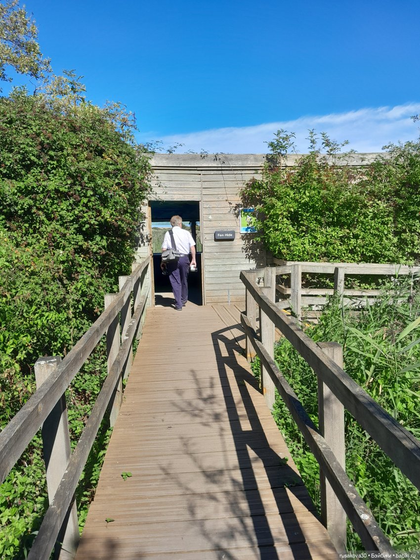 Продолжаем гулять по заповеднику (фото 10)