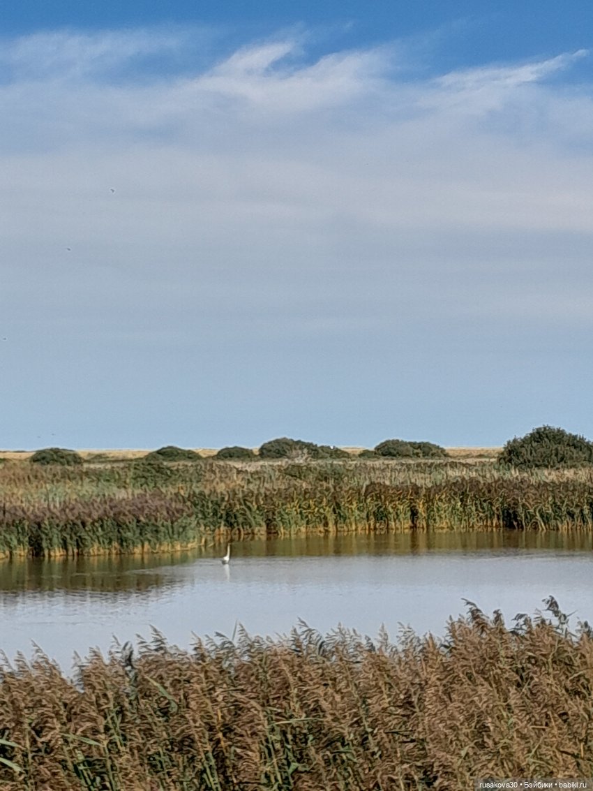 Продолжаем гулять по заповеднику