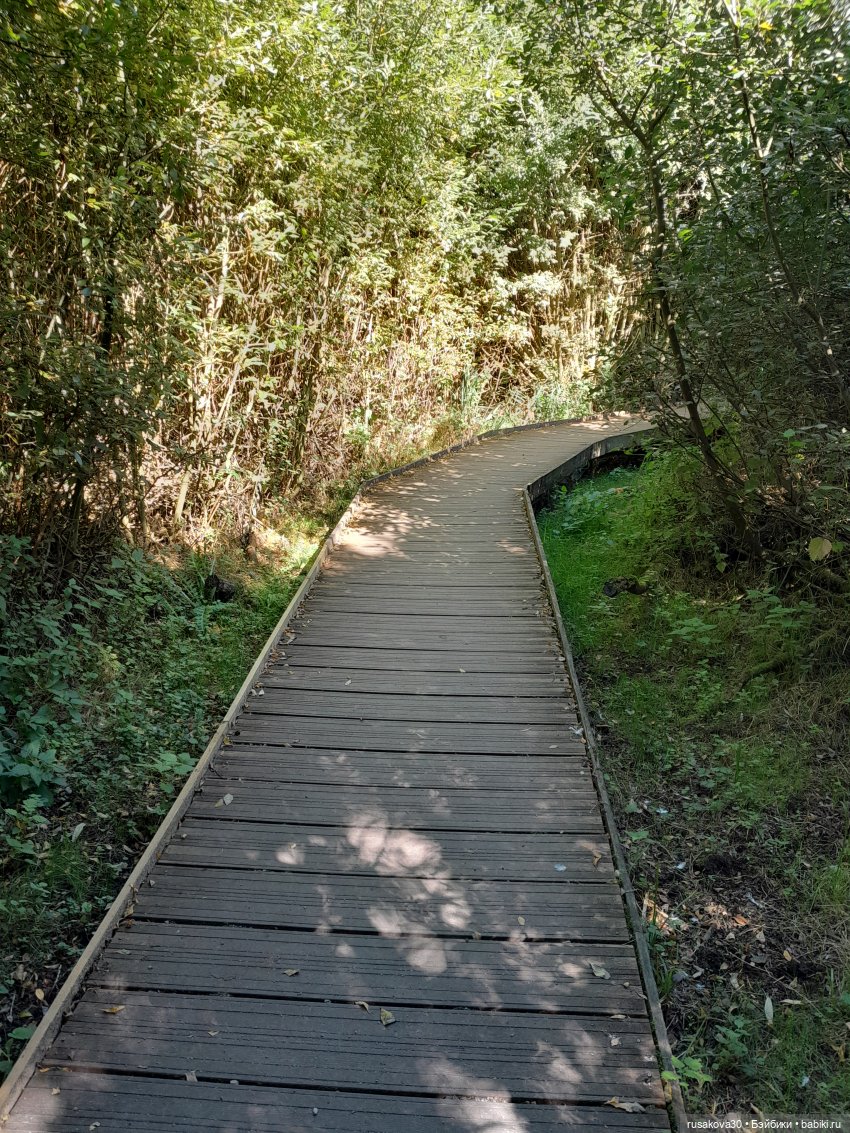 Продолжаем гулять по заповеднику (фото 4)